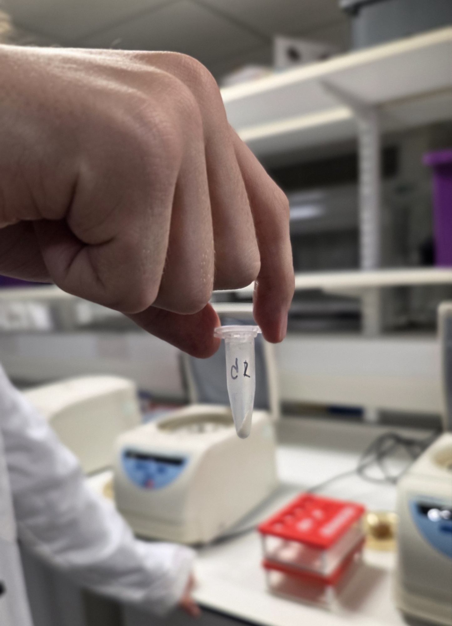Image of sixth form student using micropipettes during lesson