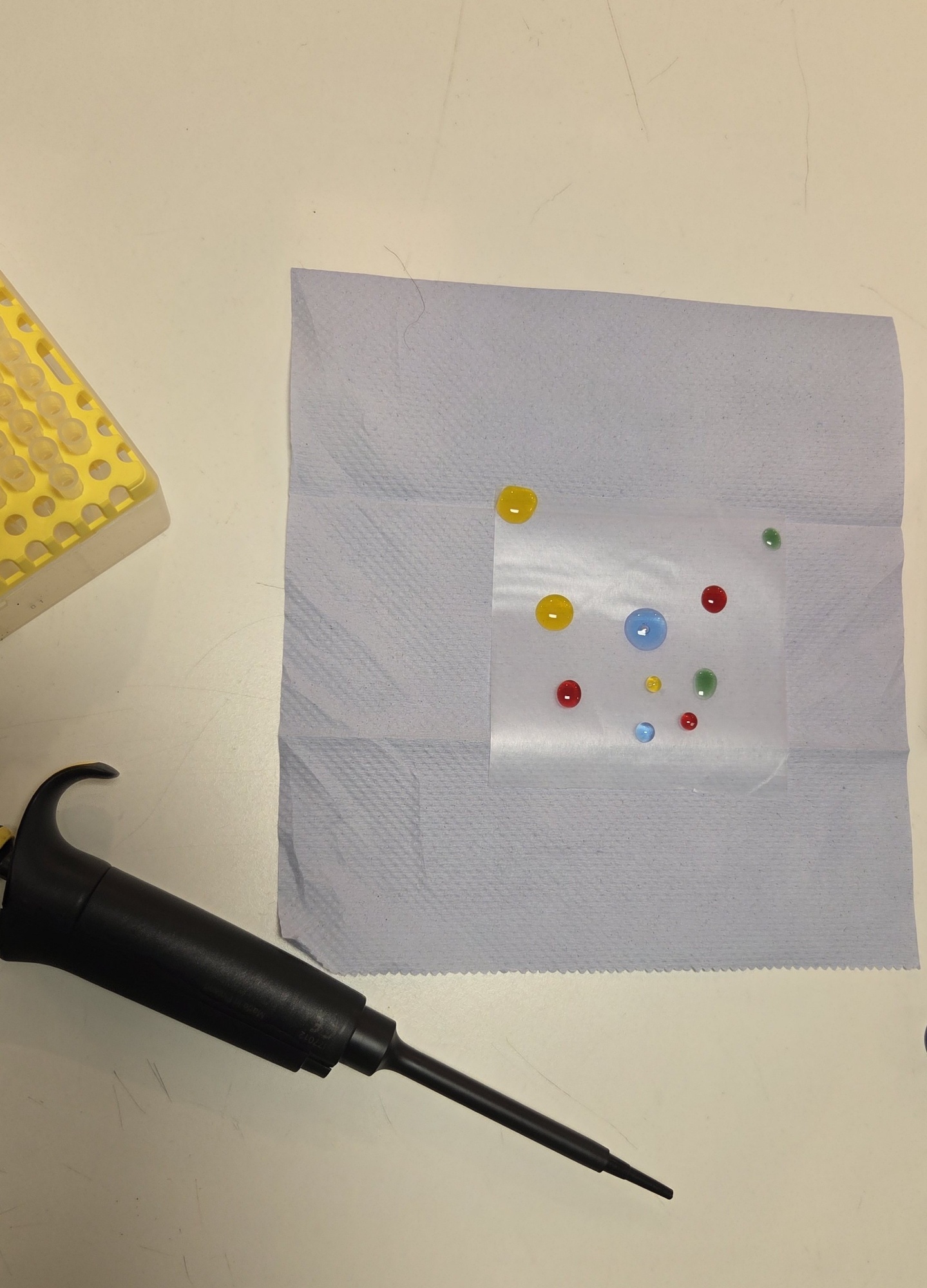 Image of micropipettes that were used during lesson