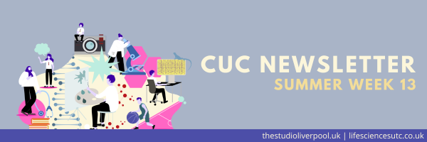 Header image of Liverpool Life Sciences UTC and The Studio School newsletter 